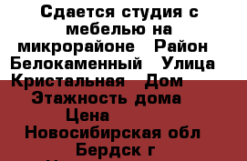 Сдается студия с мебелью на микрорайоне › Район ­ Белокаменный › Улица ­ Кристальная › Дом ­ 11/1 › Этажность дома ­ 3 › Цена ­ 9 000 - Новосибирская обл., Бердск г. Недвижимость » Квартиры аренда   